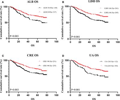 The systemic oxidative stress score has a prognostic value on gastric cancer patients undergoing surgery